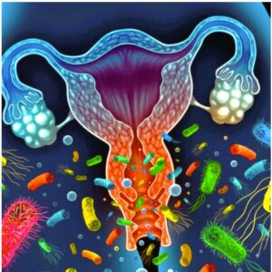 Das Vaginale Mikrobiom Kinderwunschbehandlungen das-vaginale-mikrobiom-kinderwunschbehandlungen