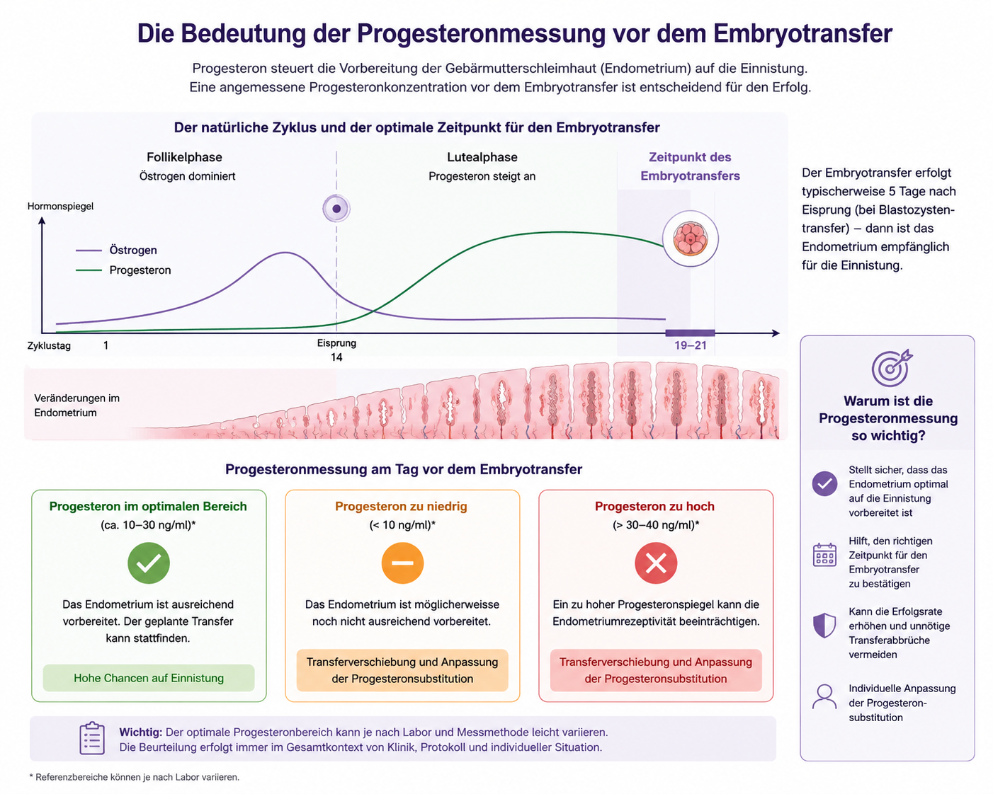 progesteronmessung am Transfertag